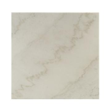 84500 Acme Furniture Telestis Living Room Furniture Cocktail Table