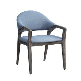 59899 Acme Furniture Aucilla Accent Furniture Accent Chair