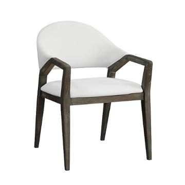 59900 Acme Furniture Aucilla Accent Furniture Accent Chair