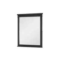 1860-0100 Legacy Classic Furniture Flatiron - Midnight Bedroom Furniture Mirror