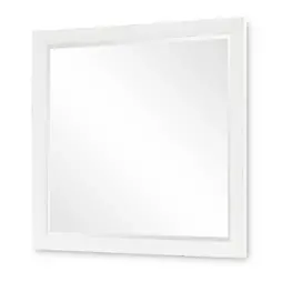 Ty4421-0200 Legacy Classic Furniture Bedroom Furniture Mirror