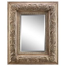 13433 Stein World Accent Furniture Mirror
