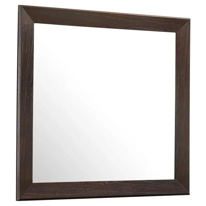 204394 Coaster Furniture Fenbrook Bathroom Furniture Mirror