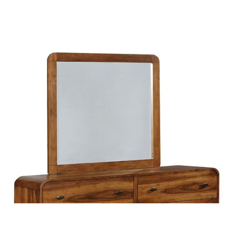 205134 Coaster Furniture Robyn Bedroom Furniture Mirror