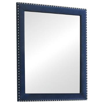 223374 Coaster Furniture Bedroom Furniture Mirror