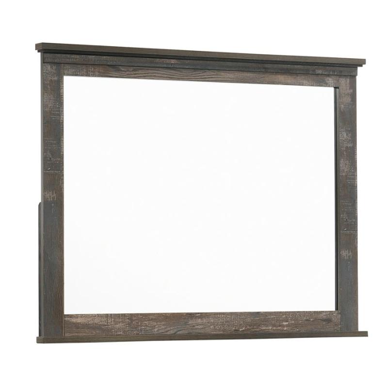 223484 Coaster Furniture Ridgedale Bedroom Furniture Mirror