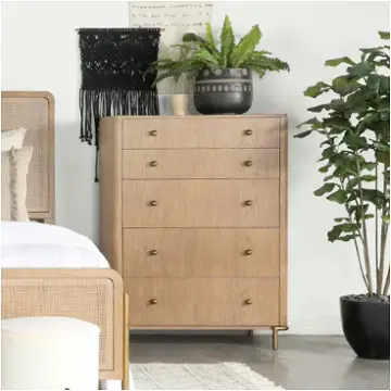 224305 Coaster Furniture Arini Bedroom Furniture Chest