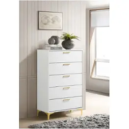 224405 Coaster Furniture Kendall Bedroom Furniture Chest
