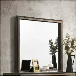 224464 Coaster Furniture Baker Bedroom Furniture Mirror