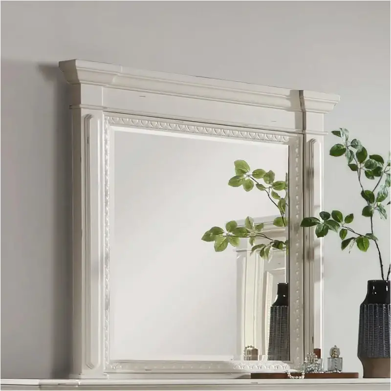 224614 Coaster Furniture Evelyn Mirror