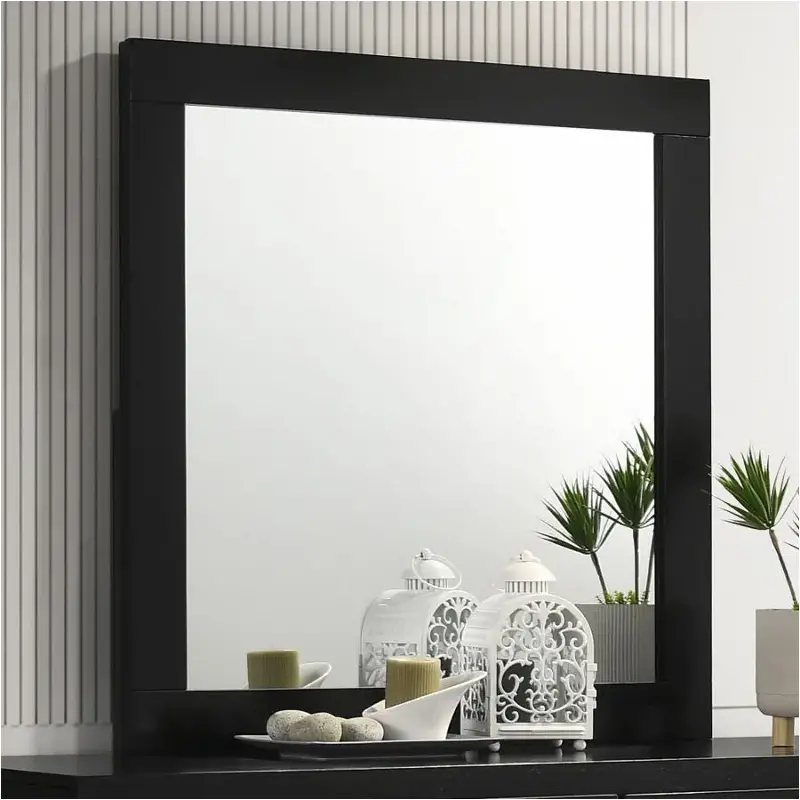 224784 Coaster Furniture Bedroom Furniture Mirror