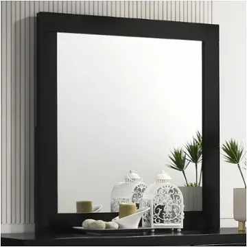 224784 Coaster Furniture Bedroom Furniture Mirror