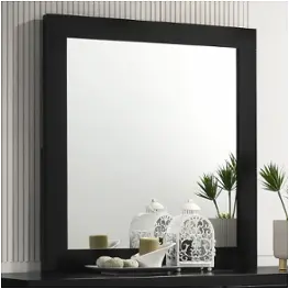 224784 Coaster Furniture Bedroom Furniture Mirror