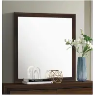 223444 Coaster Furniture Welsley Bedroom Furniture Mirror