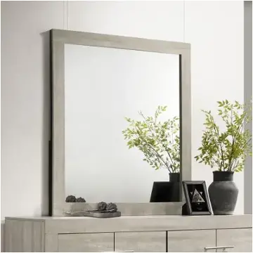 225064 Coaster Furniture Trenton Bedroom Furniture Mirror