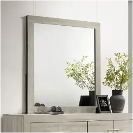 225064 Coaster Furniture Trenton Bedroom Furniture Mirror