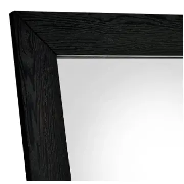 961653 Coaster Furniture Accent Furniture Mirror