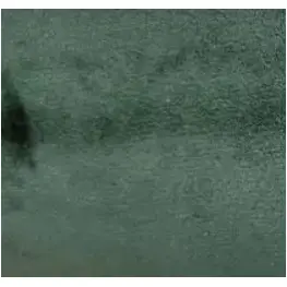 Bcs-dp21-gemma-fst Aico Furniture Accent Furniture Pillow