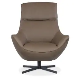 Cc733-sw-075 Hooker Furniture Cc Living Room Furniture Living Room Chair