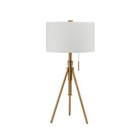L731171t-gl Furniture Of America Zaya Accent Furniture Lighting