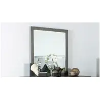 B659-060 New Classic Furniture Dillon Bedroom Furniture Mirror