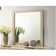 B1423-060 New Classic Furniture Novak Bedroom Furniture Mirror