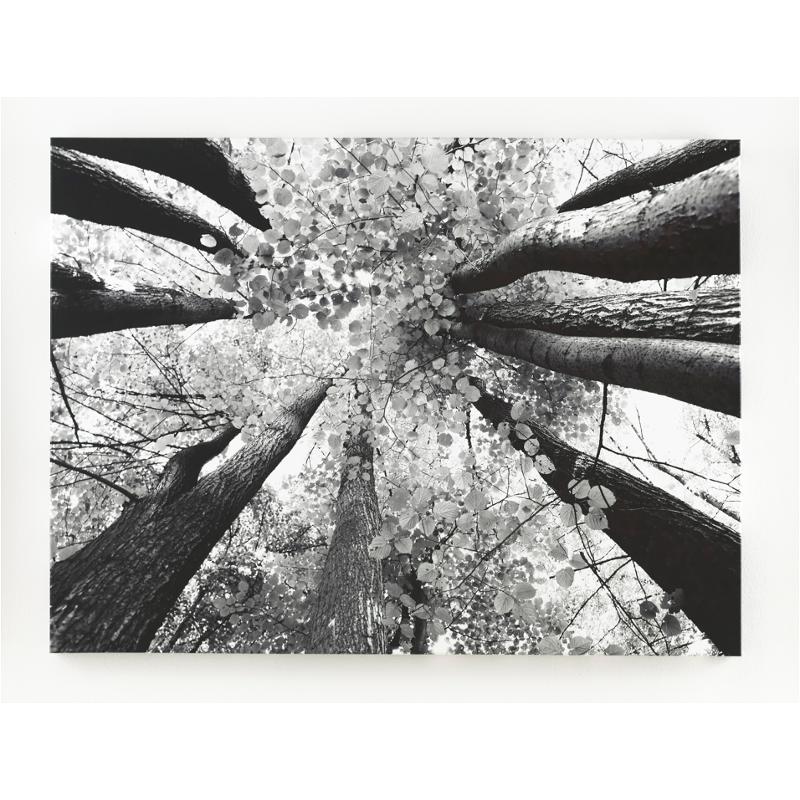 A8000035 Ananya Ashley Furniture Accent Furniture Wall Art