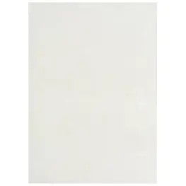 R406191 Ashley Furniture Accent Furniture Area Rug