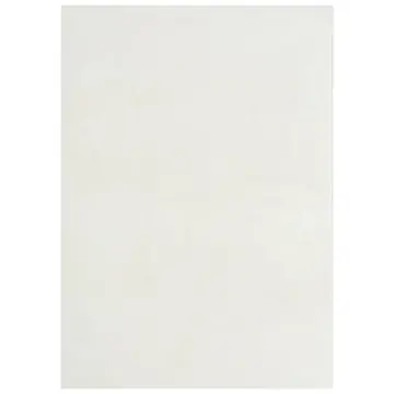 R406192 Ashley Furniture Accent Furniture Area Rug