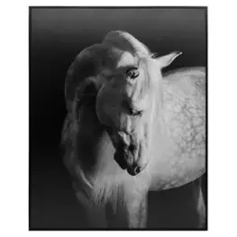 A8000409 Ashley Furniture Accent Furniture Wall Art