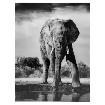 A8000421 Ashley Furniture Accent Furniture Wall Art