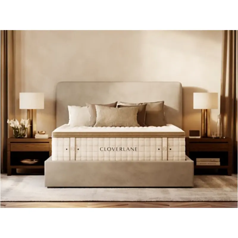 M101151 Ashley Furniture Cloverlane Mattresse