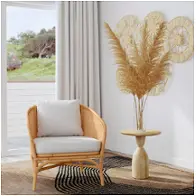 5698404 Butler Specialty Company Captiva Living Room Furniture Accent Chair